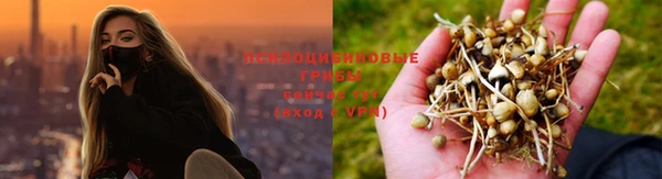 а пвп мука Алексин