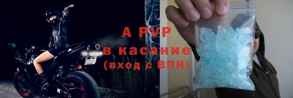 PSILOCYBIN Абдулино