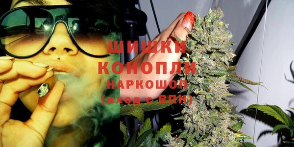шишки Абинск