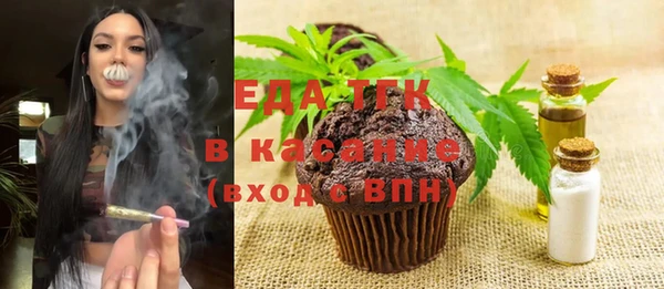 хмурый Абаза