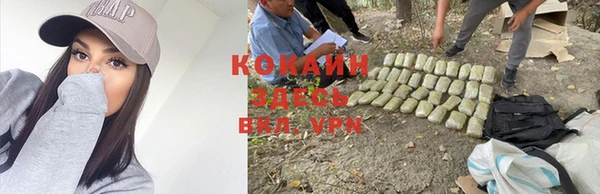 хмурый Абаза