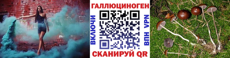 Галлюциногенные грибы Magic Shrooms Киржач