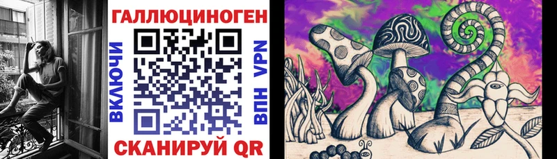 купить  сайты  Киржач  площадка состав  Галлюциногенные грибы мицелий 